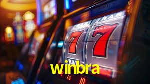 Sistemas de Segurança winbra